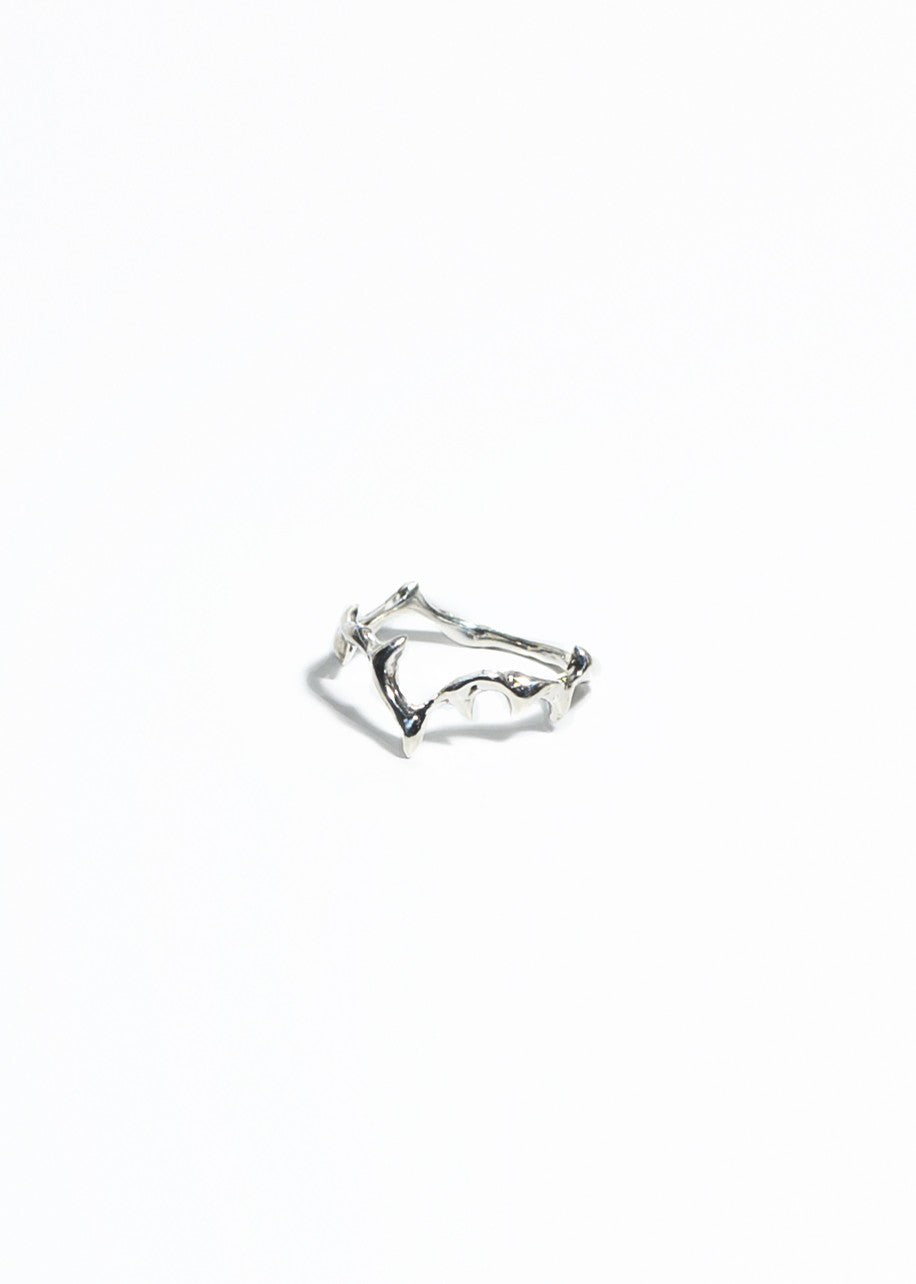 R1 ring