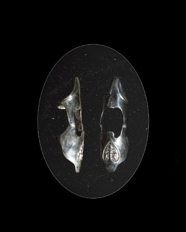 Letters to Amadis Ch. I For No Other