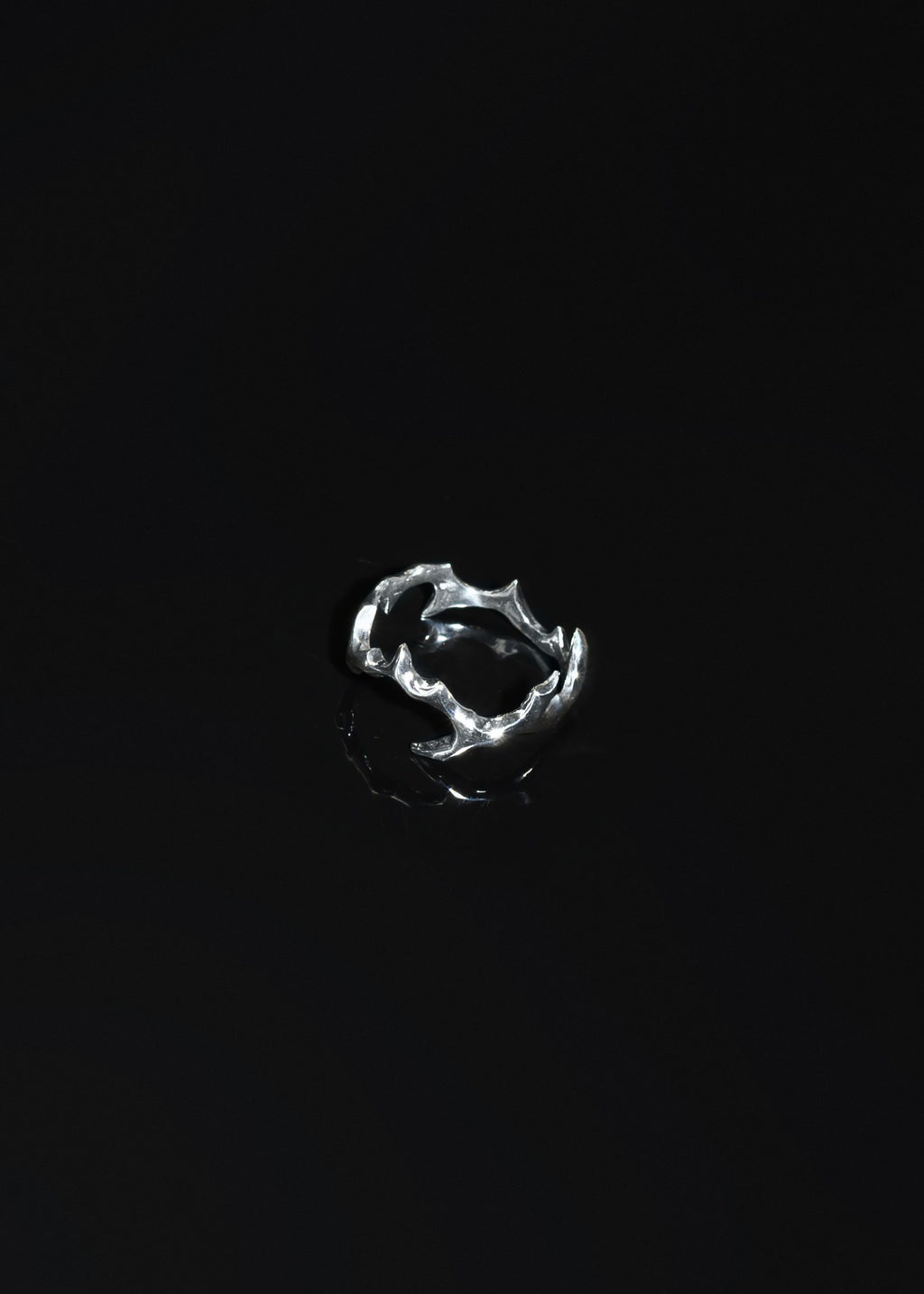 R2 ring