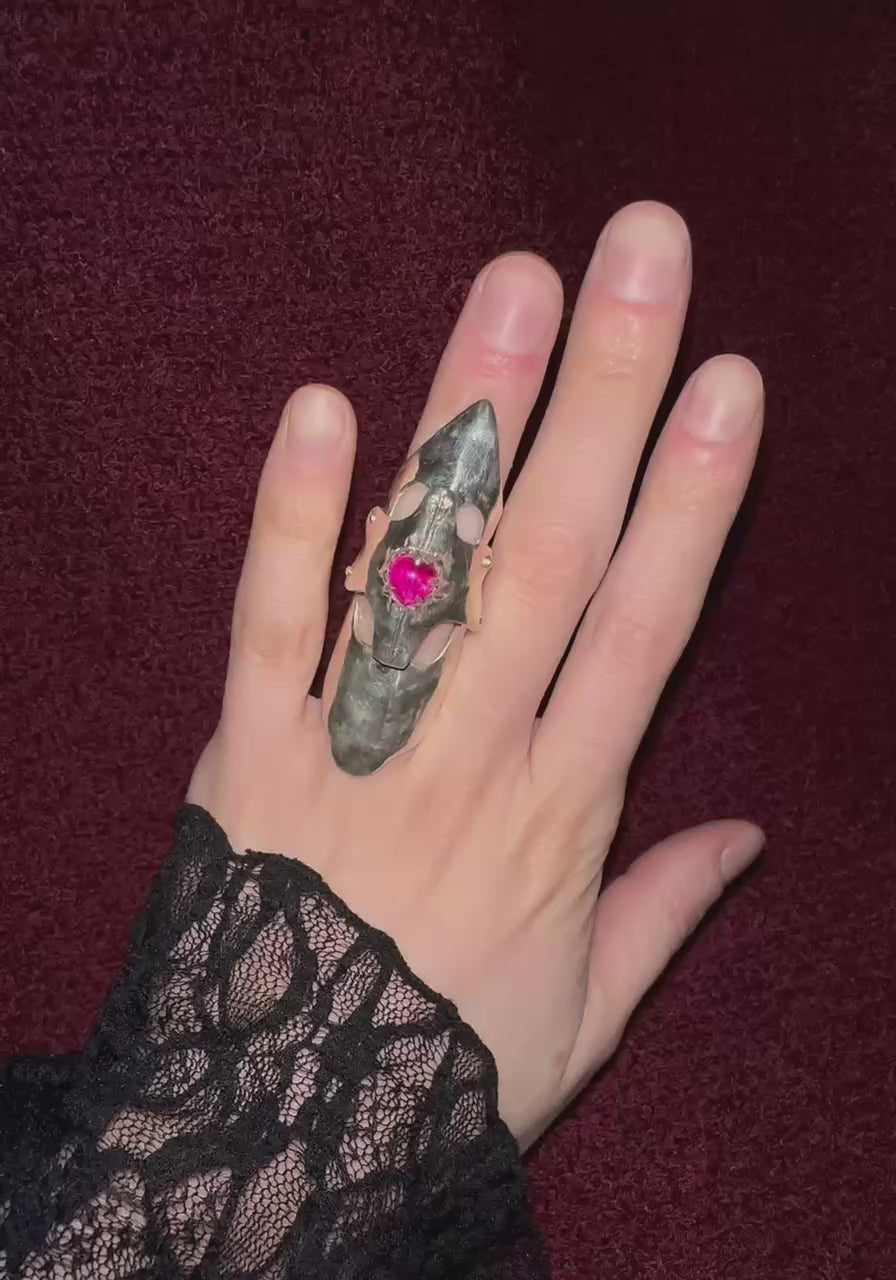 Letters to Amadis Ch. IІІ Yours to Keep