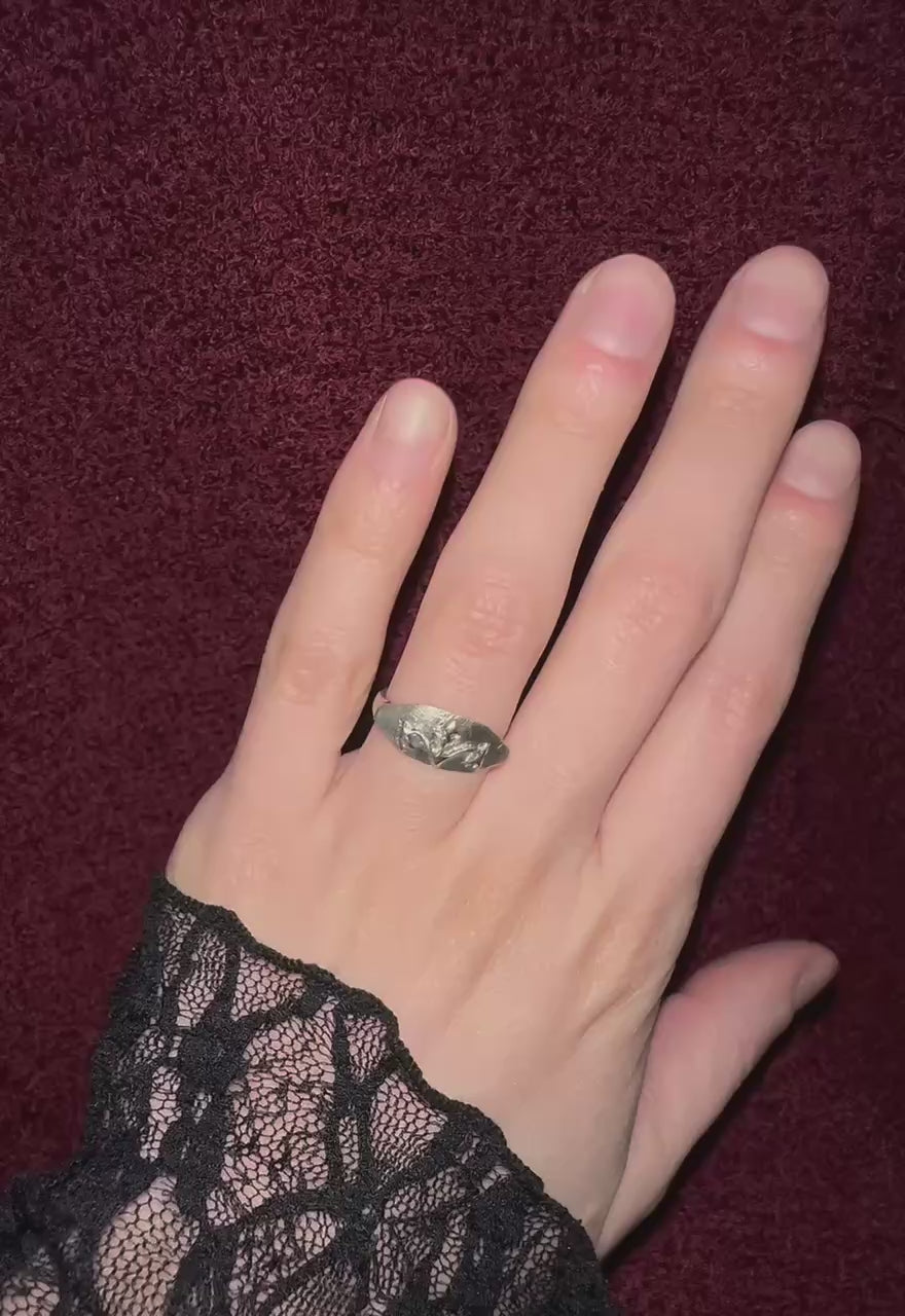 Letters to Amadis Ch. VI Ever Held