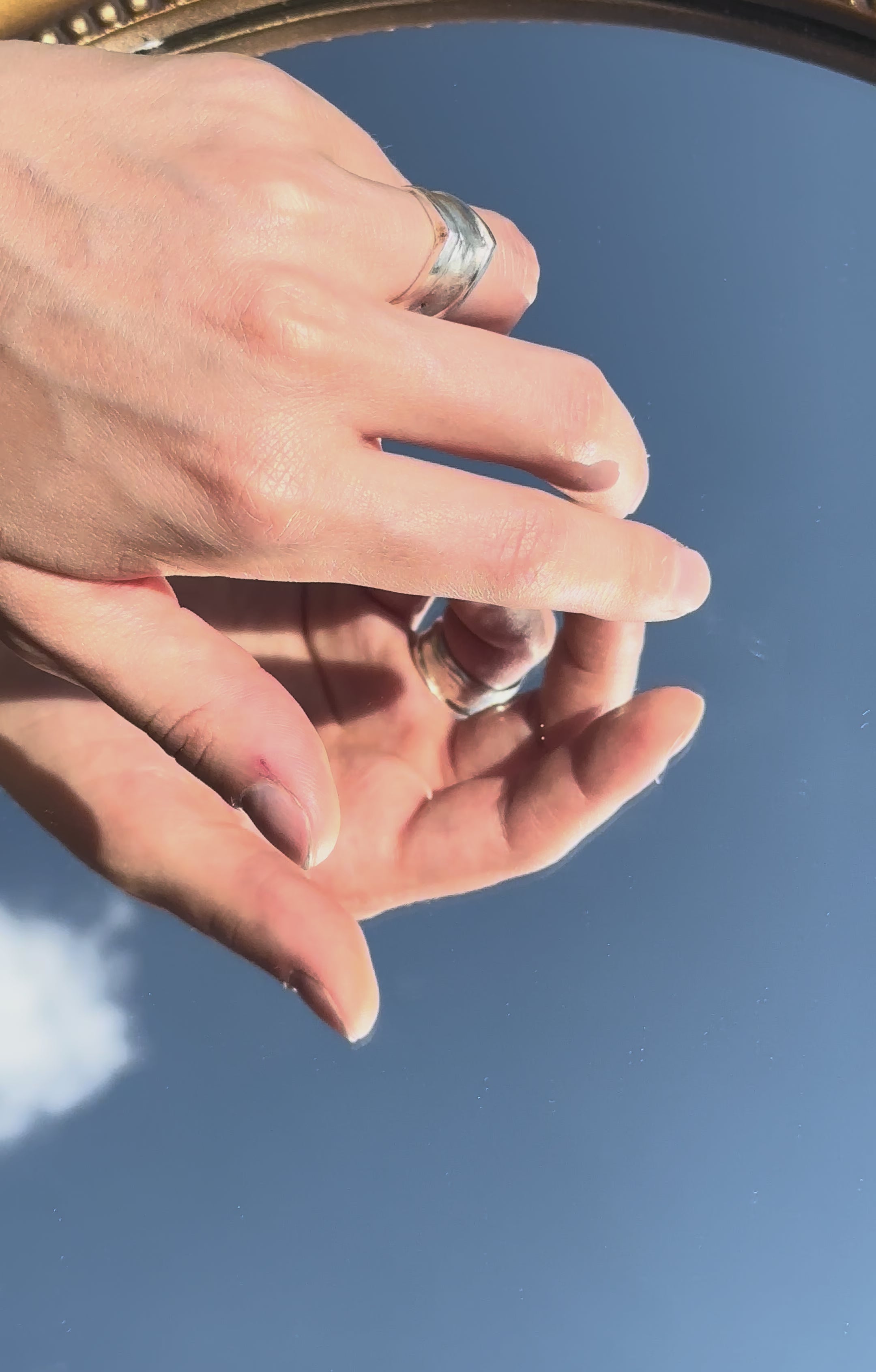 Chirotheca No. III — The Sole Clause